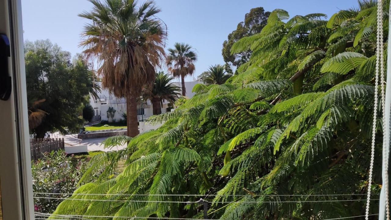 Marysol - Lovely Studio Tenerife Sur Арона Экстерьер фото