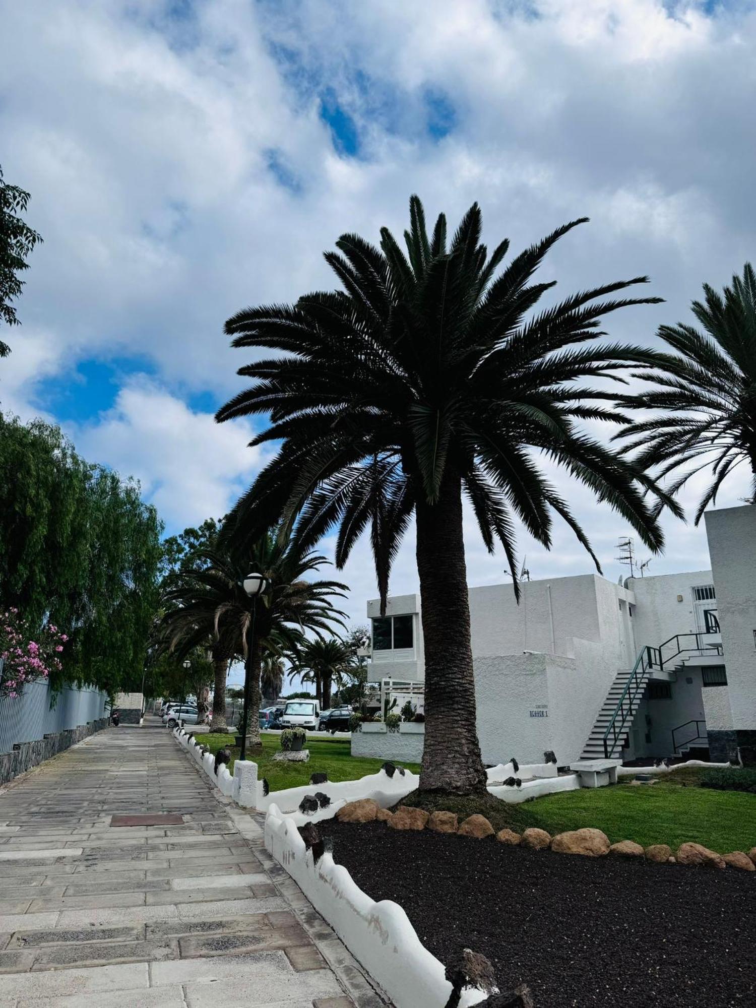 Marysol - Lovely Studio Tenerife Sur Арона Экстерьер фото